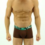 BOXER CALVIN KLEIN (CK-95)