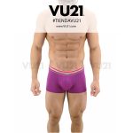 BOXER CALVIN KLEIN (CK-248)