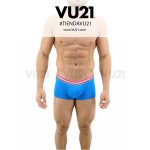 BOXER CALVIN KLEIN (CK-249)