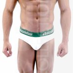 INTERIOR AUSSIEBUM (AUS246)