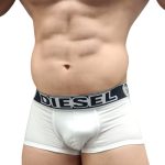 BOXER DIESEL (DI123)